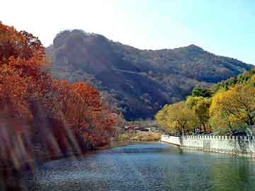 新澳天天开奖资料大全旅游团，南充贿选